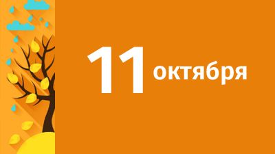 11 октября в Свердловской области ожидаются следующие события