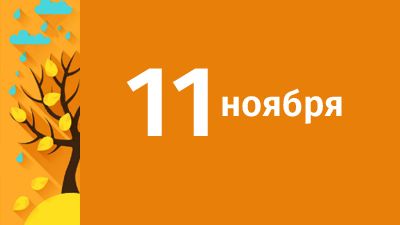 11 ноября в Свердловской области ожидаются следующие события