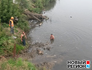 В Екатеринбурге возле ЦПКиО произошел массовый замор рыбы (ФОТО)