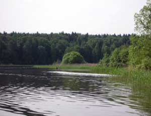 В Свердловской области нет ни одного водоема, пригодного для купания, – Роспотребнадзор