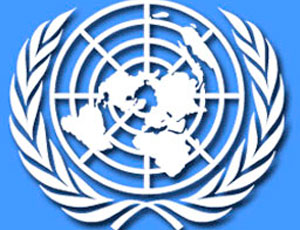 ФОМ: Россия не верит ООН / Организация действует не в интересах РФ
