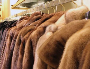 Спрос на меха в России рухнул на 40% / Население перестало покупать меховые изделия из-за падения доходов