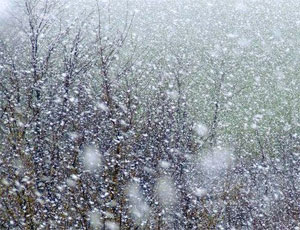 В Москве снова снегопад, метели и гололедица