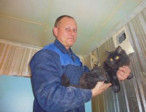 В Краснотурьинске спасли котенка, который 5 дней просидел в вентиляционной шахте (ФОТО)