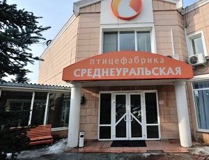 Рабочие Среднеуральской птицефабрики из-за долгов по зарплате пригрозили «веерной» забастовкой