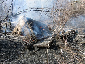 В Кыштыме поджигатели колес спалили 20 садовых построек