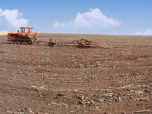 В Зауралье засеяно около шести тысяч гектаров земли / В регионе началась посевная кампания