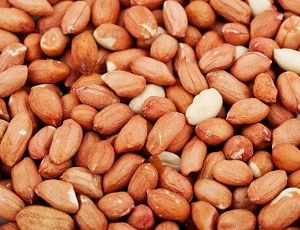 В Нижнем Тагиле обнаружили 19 тонн арахиса с кадмием из США