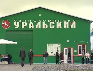 Свинокомплекс «Уральский» оштрафован за нарушение санитарных норм