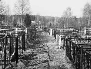 В Чесменском районе хулиганы  разгромили сельское кладбище