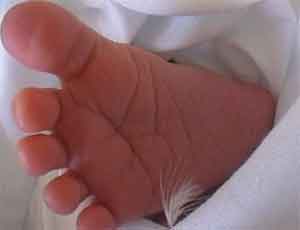 Новорожденный мальчик найден в лесопосадке в Балашихе
