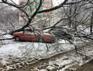 Харьков завалило снегом / В городе стоят троллейбусы, нет света в школах и детсадах
