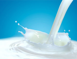 Россия может полностью запретить белорусскую молочку из-за «плохого качества»