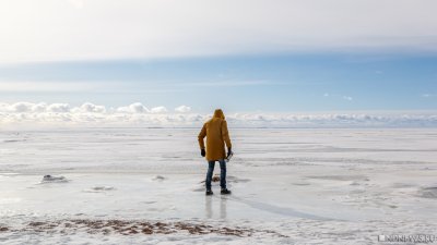 Ученые назвали Арктику первоисточником следующей пандемии