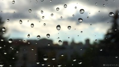 Дождливая Москва: в ближайшие дни может выпасть до трети месячной нормы осадков