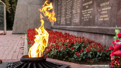 Бомжа, запалившего венок на Вечном огне в Миассе, обвинили в реабилитации нацизма