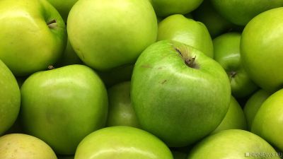 Садоводы юга России просят изменить критерии оценки качества яблок – иначе будет дорого