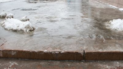 Декабрьский дождь в Москве: синоптики прогнозируют дальнейшее потепление