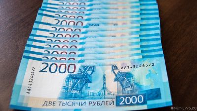 В Омской области похитили 35 млн рублей по «Пушкинской карте»