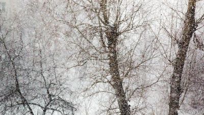 В Челябинскую область нагрянули снегопады
