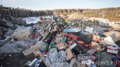 Мэрия, МУГИСО, мусорный оператор: кто уберет гигантские кучи мусора на бесхозных землях (ФОТО)