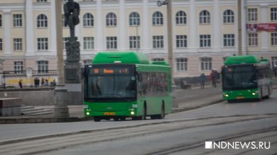 В Екатеринбурге с 1 декабря сменятся номера автобусных маршрутов
