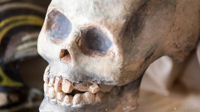 В Петербурге при демонтаже старых труб нашли человеческий скелет
