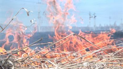МЧС: «Большая часть очагов пожара в «Денежкином Камне» потушена»
