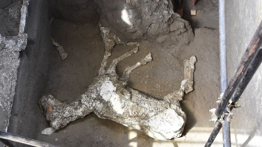 Археологи сделали в Помпеях уникальную находку