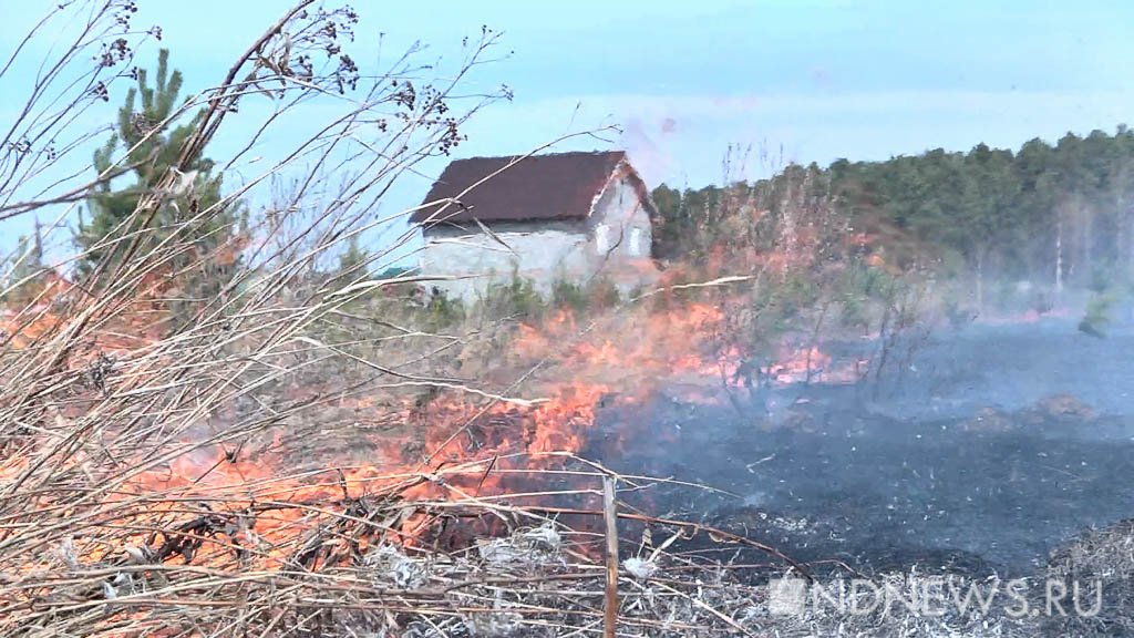 На День Победы спасатели прогнозируют крупные лесные пожары и развитие половодья