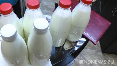 В курганской областной больнице нашли молоко от местных производителей с антибиотиками