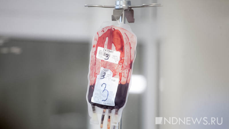 Ученые обнаружили у человека новый кроветворный орган