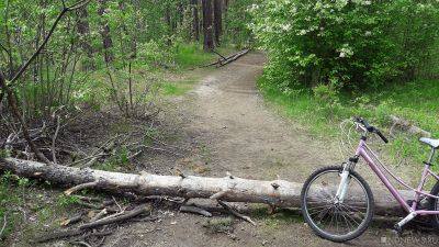 Тюменка, упавшая с велосипеда, потребовала от чиновников 1 млн рублей