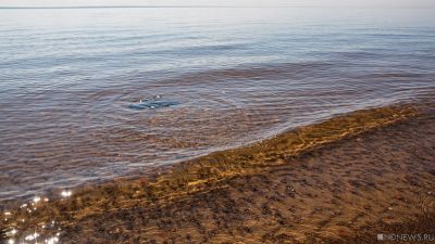 В Челябинске неадекватный горожанин пытался утопить детей на пляже