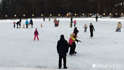 Лучше покататься на коньках: Минпросвещения призвало родителей оградить детей от участия в акции 23 января