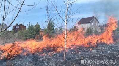 Под угрозой лесных пожаров оказались 14 поселков Екатеринбурга
