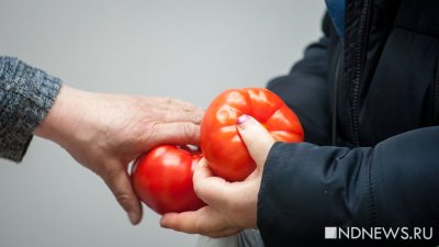 Овощи дорожают: цена килограмма помидоров превысила 250 рублей