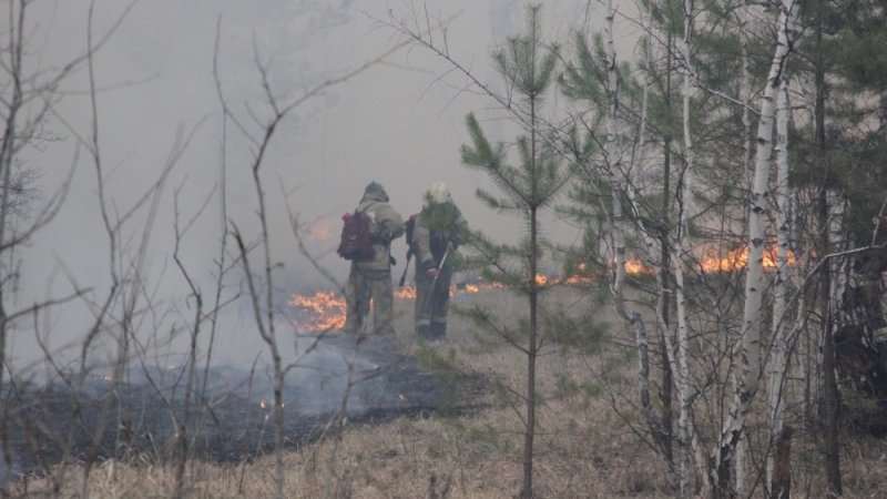 Фото: newdaynews.ru