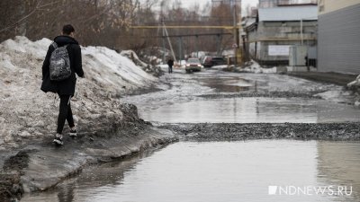 «Аквадискотека в комнате грязи»: Москва «поплыла» после резкого потепления (ФОТО, ВИДЕО)