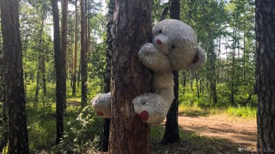 «Соколы», «ястребы» и «птенцы» Христенко: на праймериз «медведей» в Челябинской области заявились 11 желающих попасть в Госдуму