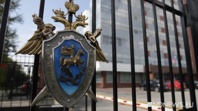 Бастрыкин затребовал доклад о мошенничестве при строительстве коттеджей в Подмосковье