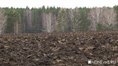 Уральские аграрии приостановили посевную из-за снегопадов