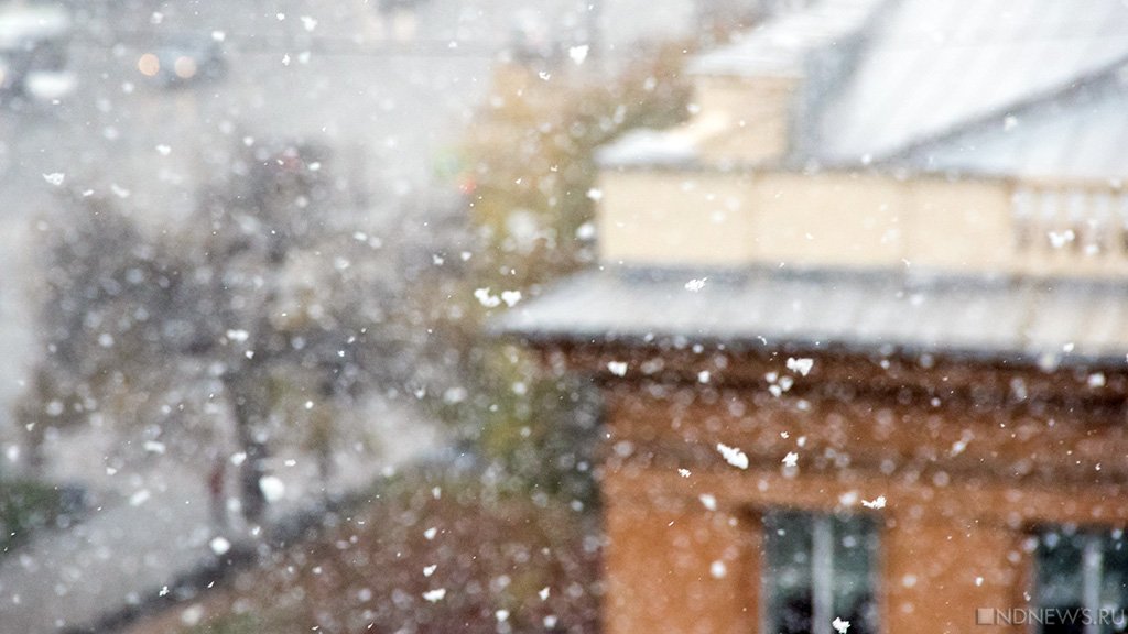 Сильный снегопад и ледяной дождь: в Москве объявлено штормовое предупреждение