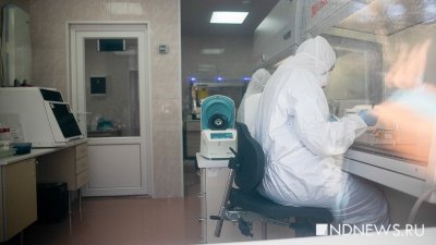 В Свердловской области плюс 242 случая коронавируса