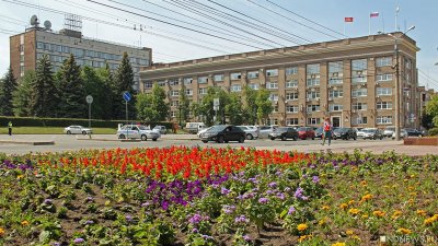 Больше негде: в Челябинске вырубят часть березовой рощи ради полиции