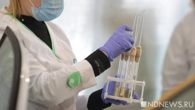 «Логика немножко косая»: Минфин РФ отказался выделить деньги на массовое экспресс-тестирование на коронавирус