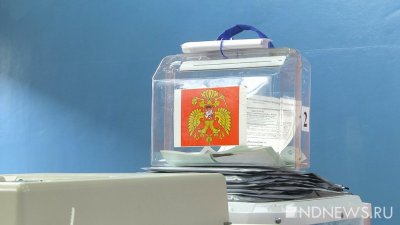 Выборы в Госдуму будут контролировать более 400 тысяч наблюдателей