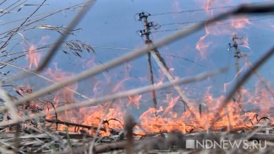 За 13 часов пожара в новгородской деревне сгорели 20 домов