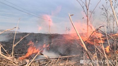 На Урале втрое сократилась площадь лесных пожаров