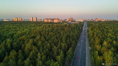 Жителям Челябинска предлагают спасти от застройки еще один лесной массив